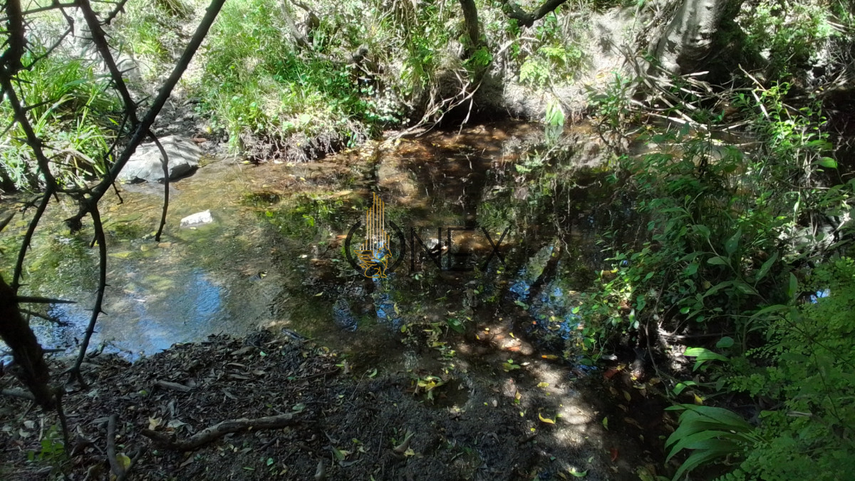 Campo Ref.3598 - Se vende excelente parcela de 6,85 has a 17 min de Jose Ignacio, sobre Ruta 9 km 155