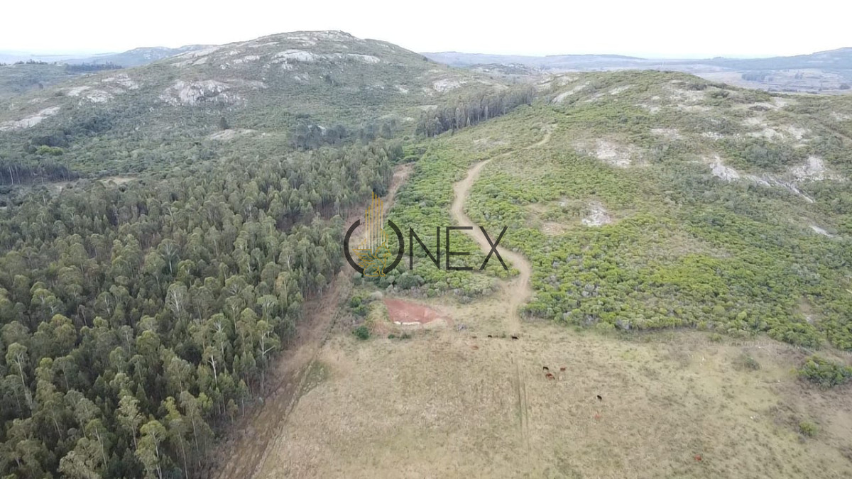 Campo Ref.2894 - Venta de Campo de 25 Ha en 