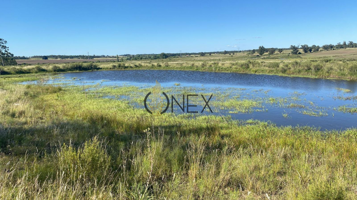 Campo Ref.1543 - Campo en venta de 41 ha en Empalme Olmos 