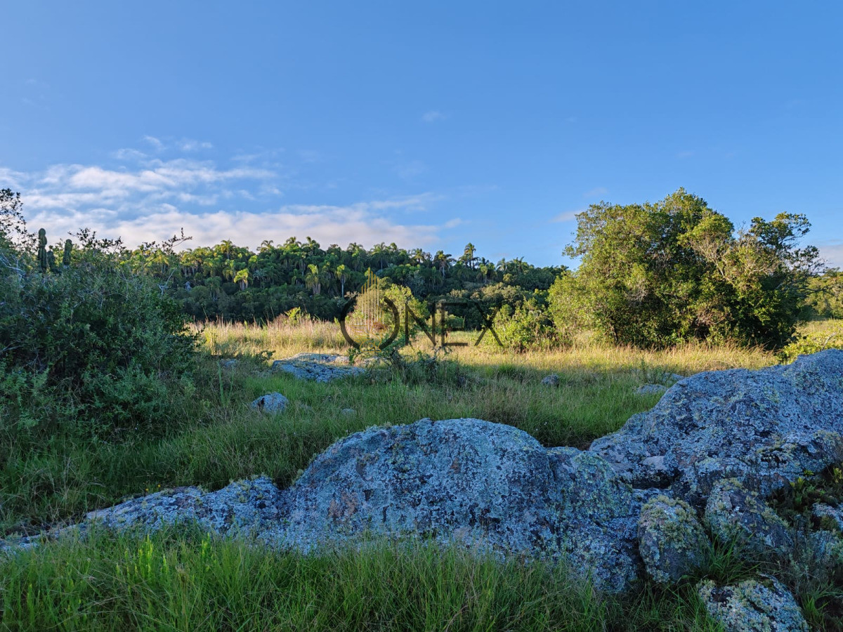 Campo Ref.3316 - Campo en Sierras de San Miguel Rocha 