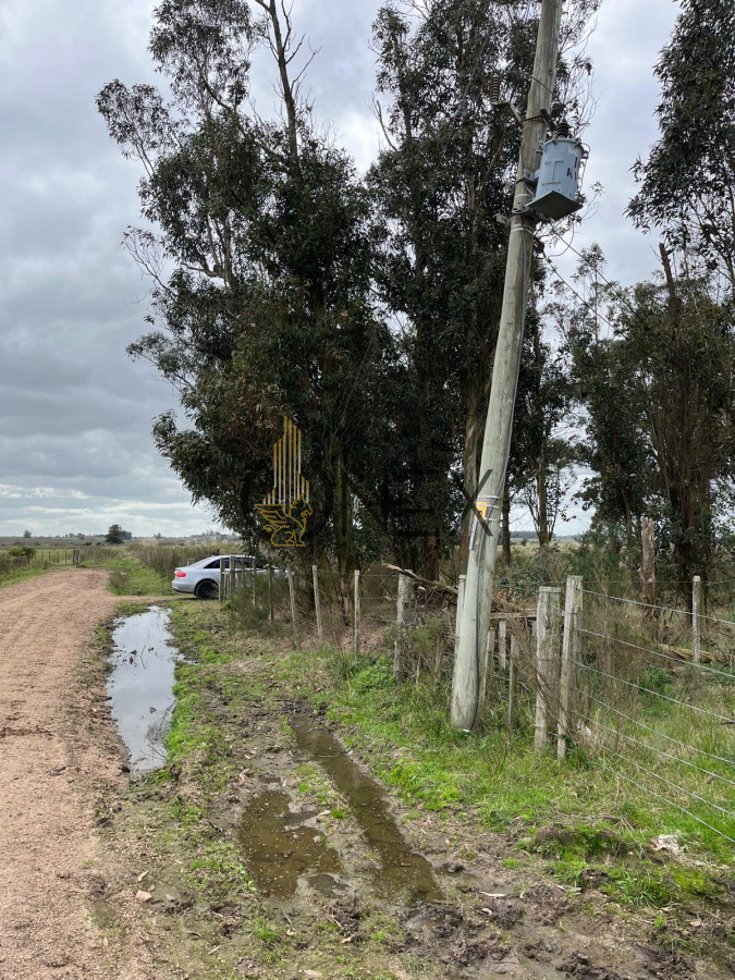 Campo Ref.1469 - CAMPO EN SAUCE, CANELONES. MUY BUEN ACCESO