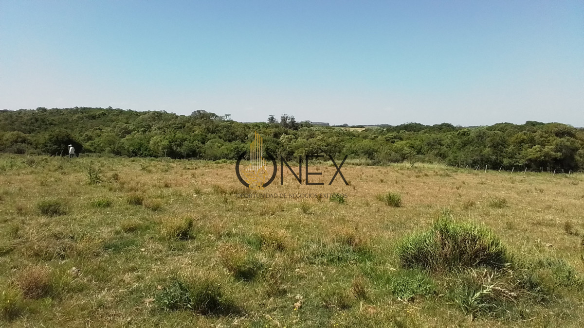 Campo Ref.3598 - Se vende excelente parcela de 6,85 has a 17 min de Jose Ignacio, sobre Ruta 9 km 155
