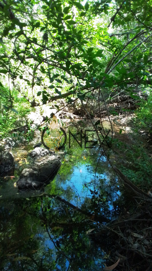 Campo Ref.3598 - Se vende excelente parcela de 6,85 has a 17 min de Jose Ignacio, sobre Ruta 9 km 155