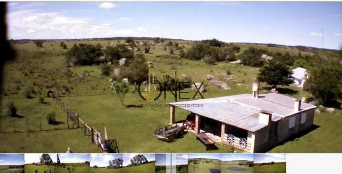 Campo Ref.3738 - CAMPO  BUENAS AGUADAS, BUEN ABRIGO