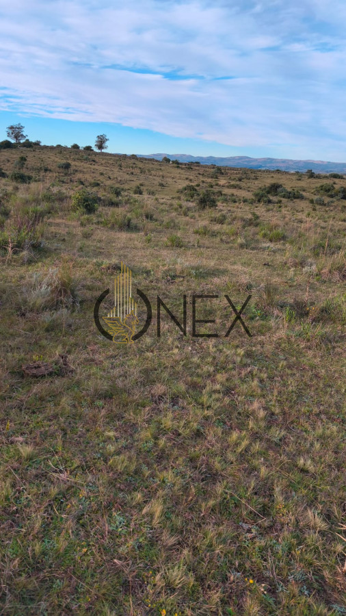 Campo Ref.2602 - Venta de Campo de 77 Ha en Las Cañas