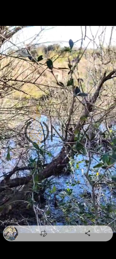 Campo Ref.2831 - Venta de campo de 20 Ha en Paso del Tigre