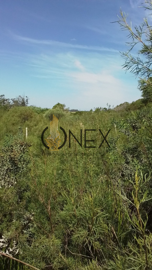 Campo Ref.3598 - Se vende excelente parcela de 6,85 has a 17 min de Jose Ignacio, sobre Ruta 9 km 155