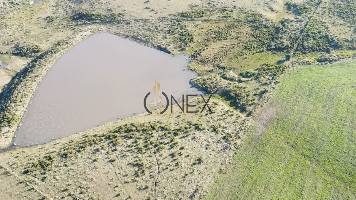Campo Ref.2902 - Venta de campo de 103 Has en Las Cañas
