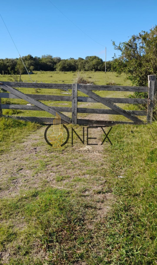 Campo Ref.4376 - Gran campo en Las Sierras de San Miguel Rocha 