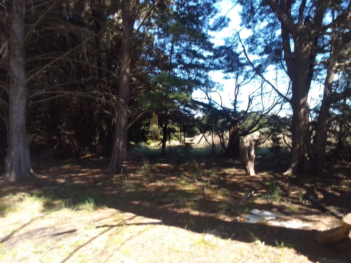Campo Ref.1231 - Venta de Campo en Depto Canelones