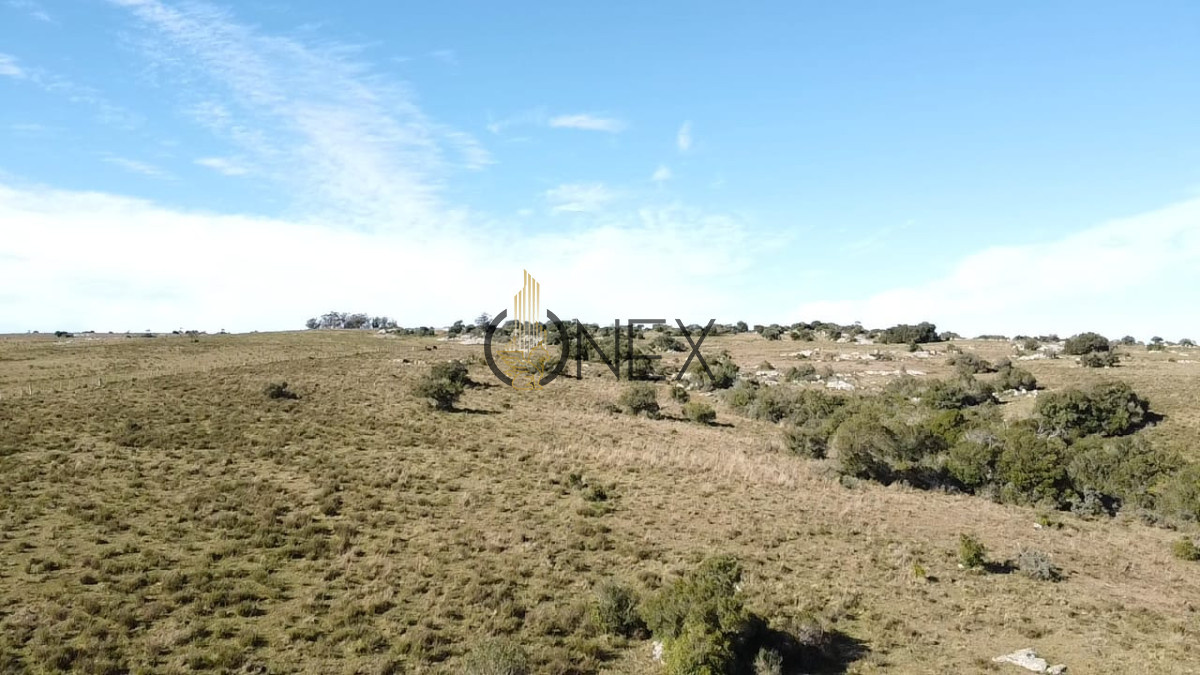 Campo Ref.2600 - Venta de campo 133 Ha Maldonado