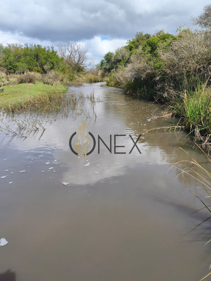 Campo Ref.3087 - Venta de Campo de 150Ha en Lavalleja