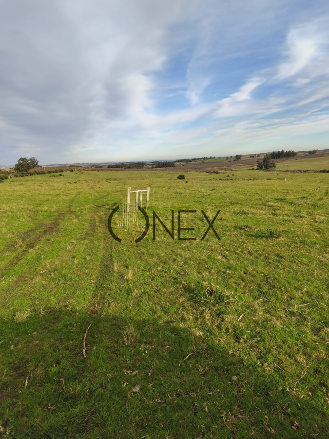 Campo Ref.2890 - Venta de campo de 34 Has en Pan de Azucar