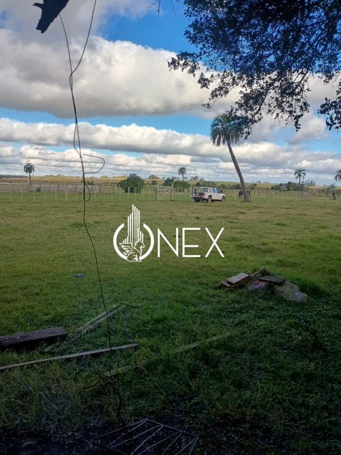 Campo Ref.4620 - Se vende en Corral de Palma 