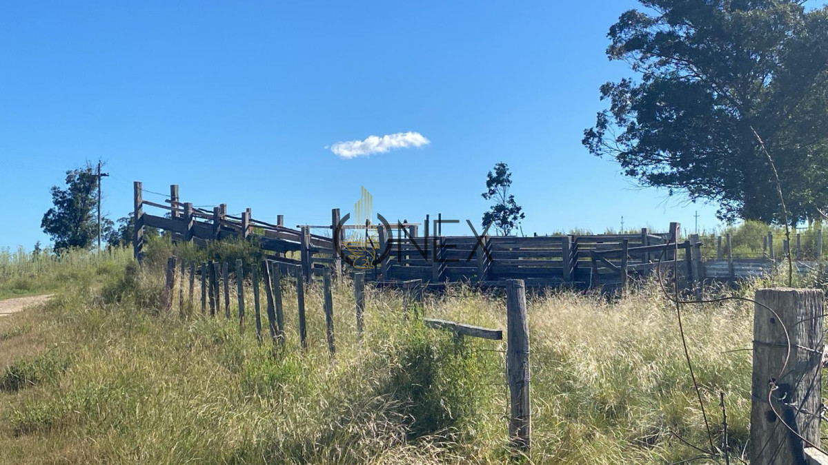 Campo Ref.1543 - Campo en venta de 41 ha en Empalme Olmos 