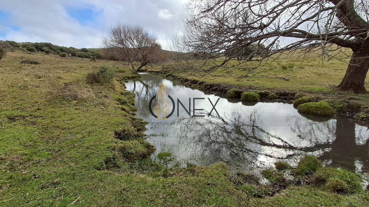 Campo Ref.3811 - Venta Campo de 26Ha con casa en Minas