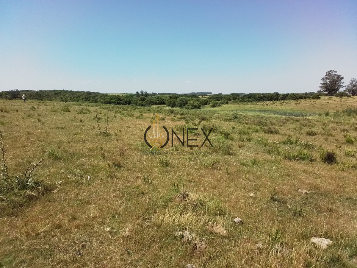 Campo Ref.3598 - Se vende excelente parcela de 6,85 has a 17 min de Jose Ignacio, sobre Ruta 9 km 155