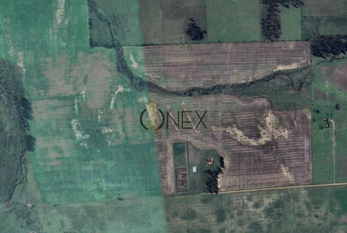 Campo Ref.1468 - SE VENDE CAMPO EN SAUCE, CANELONES. MUY BUEN ACCESO