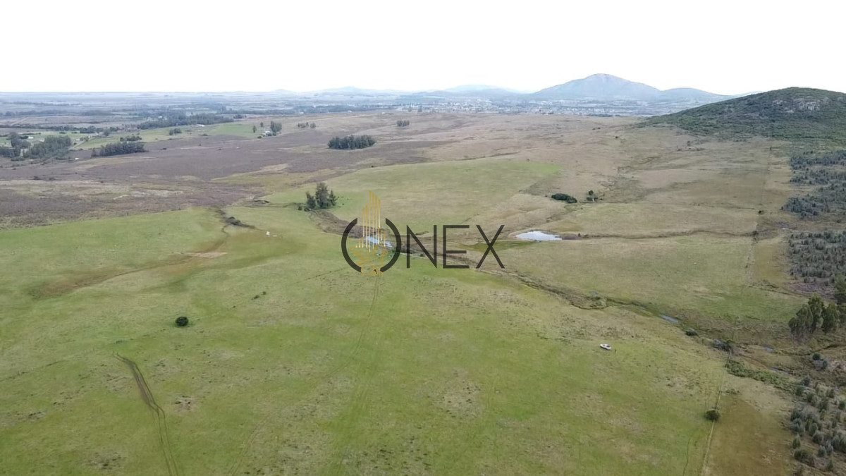 Campo Ref.2892 - Venta de Campo de 20 Has en Pan de Azucar 
