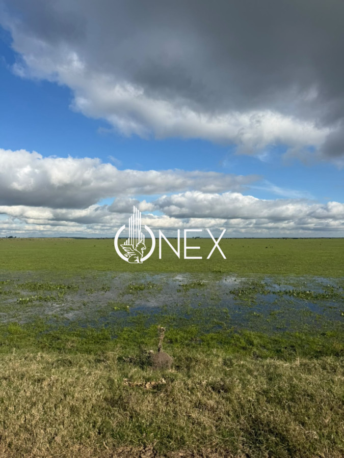 Campo Ref.4620 - Se vende en Corral de Palma 
