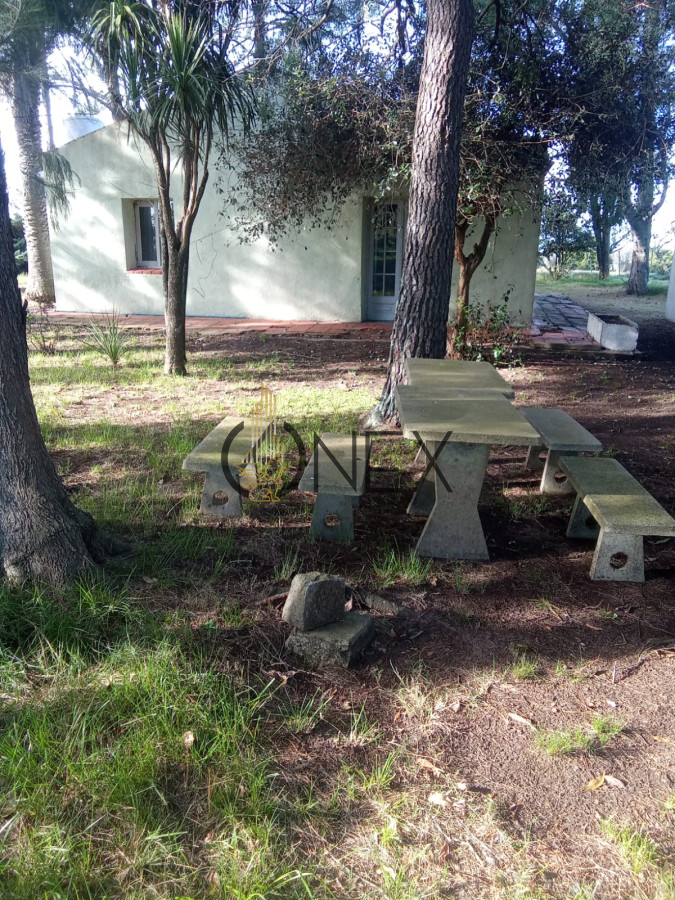Campo Ref.2350 - venta de campo de 15Ha en Partido Norte con casa