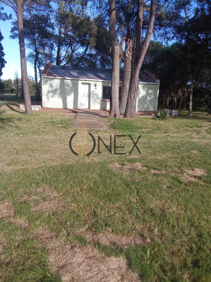 Campo Ref.2350 - venta de campo de 15Ha en Partido Norte con casa
