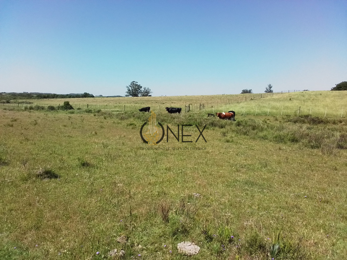 Campo Ref.3598 - Se vende excelente parcela de 6,85 has a 17 min de Jose Ignacio, sobre Ruta 9 km 155