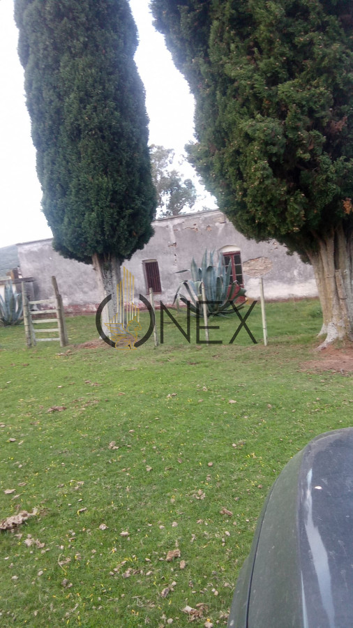 Campo Ref.3106 - Venta de Campo 600Ha en Carape con casas