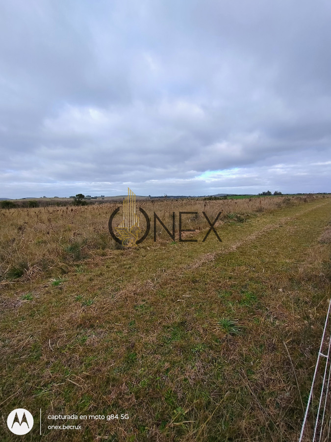 Campo Ref.2502 - Campo en Zona Rural, 