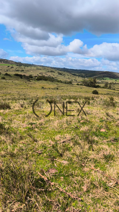 Campo Ref.3087 - Venta de Campo de 150Ha en Lavalleja