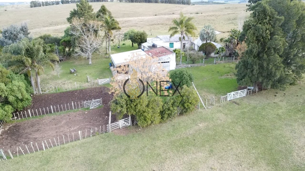 Campo Ref.3028 - Venta de campo de 240 Has Zona Las Cañas