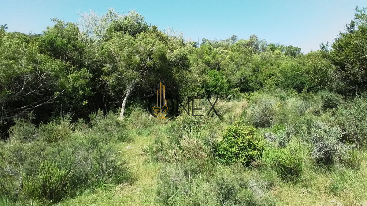 Campo Ref.3598 - Se vende excelente parcela de 6,85 has a 17 min de Jose Ignacio, sobre Ruta 9 km 155