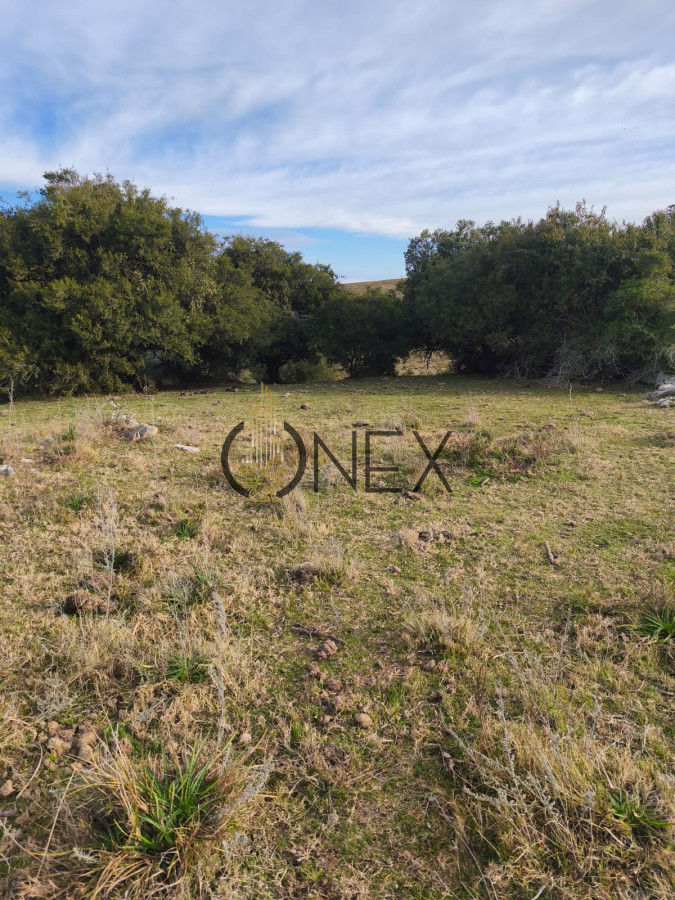 Campo Ref.3028 - Venta de campo de 240 Has Zona Las Cañas