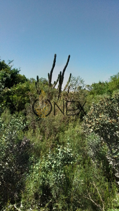 Campo Ref.3598 - Se vende excelente parcela de 6,85 has a 17 min de Jose Ignacio, sobre Ruta 9 km 155