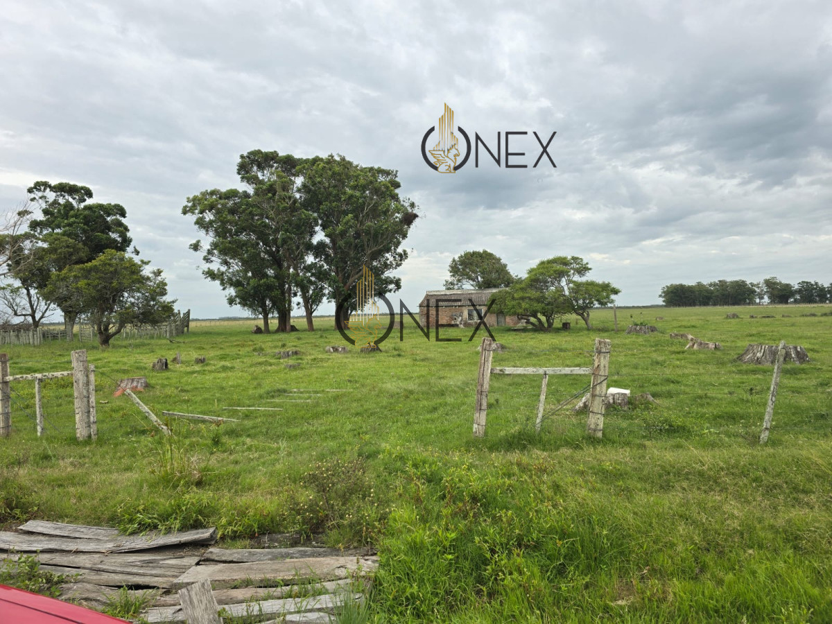 Campo Ref.1782 - Campo en Rural, 