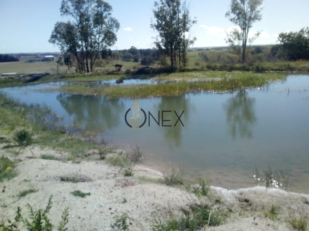 Campo Ref.1652 - 8 HECTAREAS EN VENTA CIUDAD DE GUICHON PAYSANDU