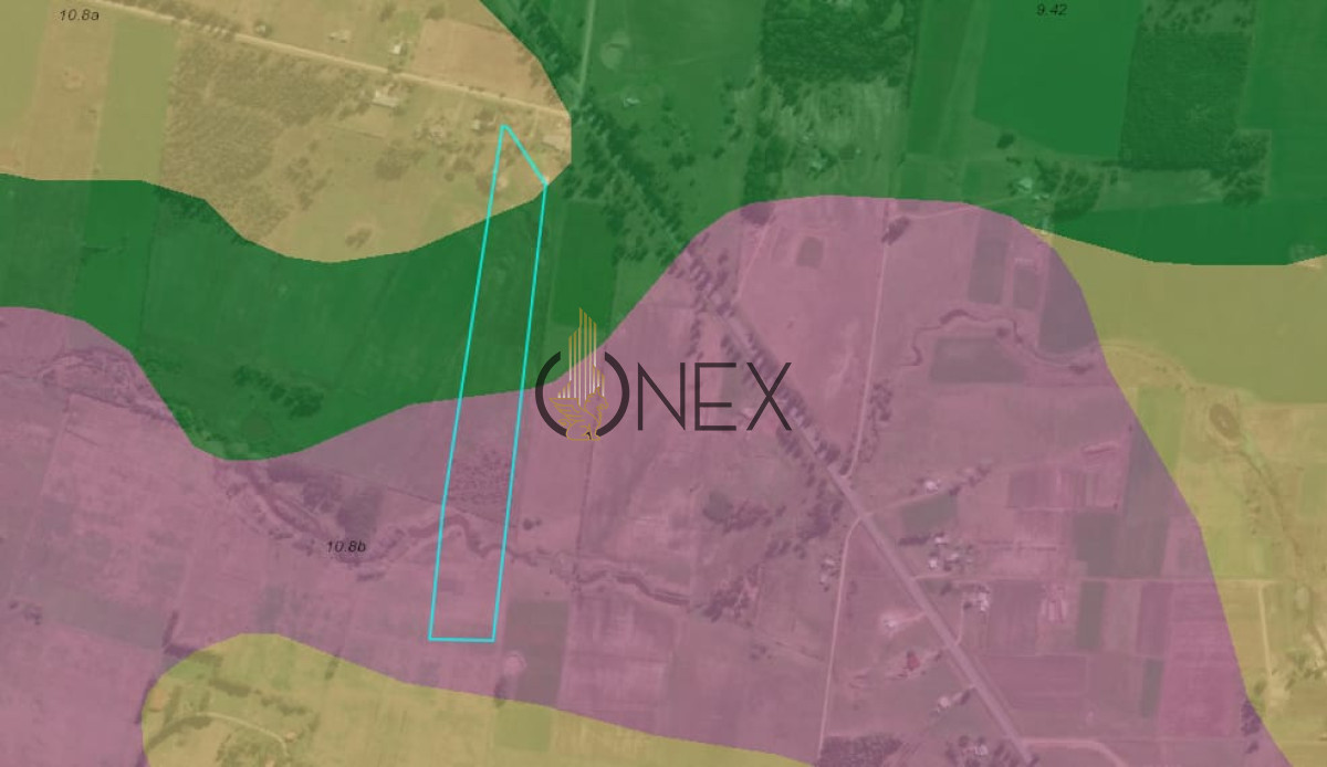 Campo Ref.3235 - 6 hectáreas sobre Ruta 11 - Ideal para producción e inversión