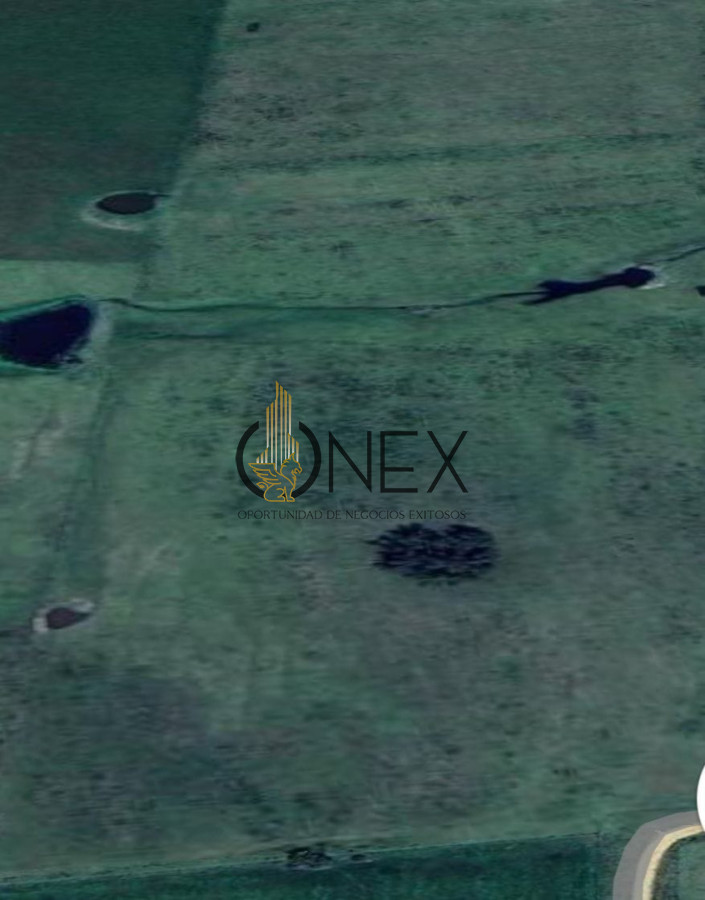 Campo Ref.3822 - Venta Campo 13 Ha en Cañada Bellaca