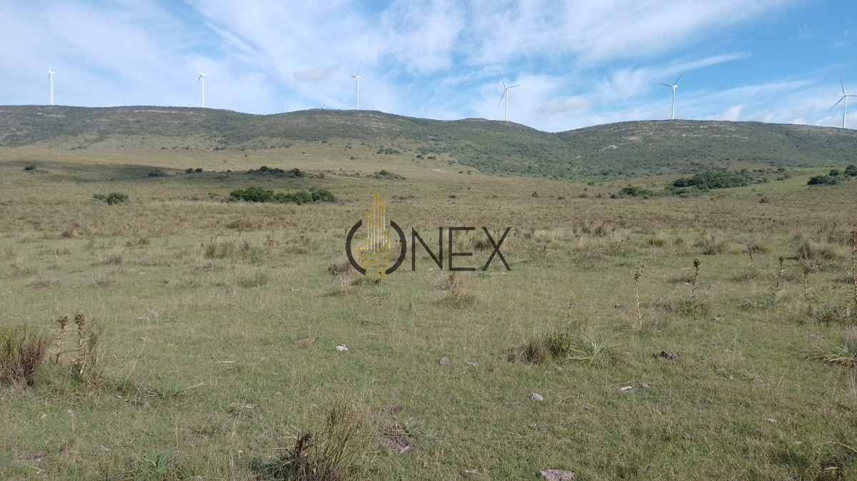 Campo Ref.2377 - Venta de Chacras de 5 y 6 Ha en Caracoles