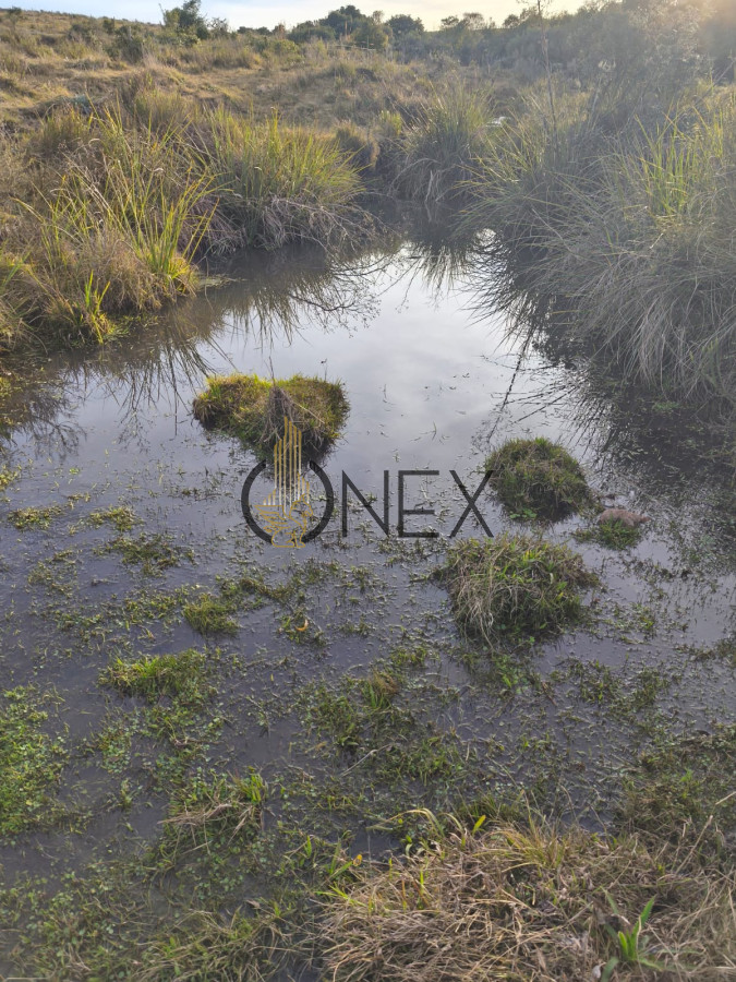Campo Ref.3033 - Venta de campo de 57 Has Zona las Cañas 