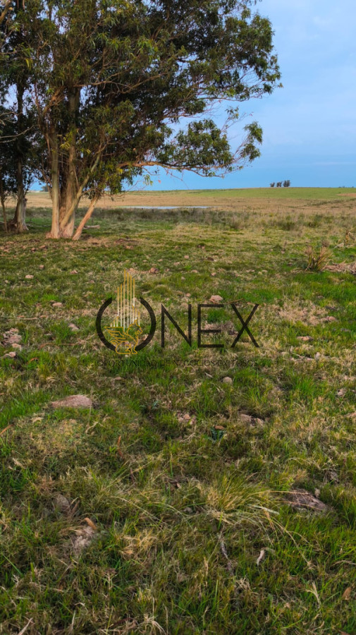 Campo Ref.3822 - Venta Campo 13 Ha en Cañada Bellaca