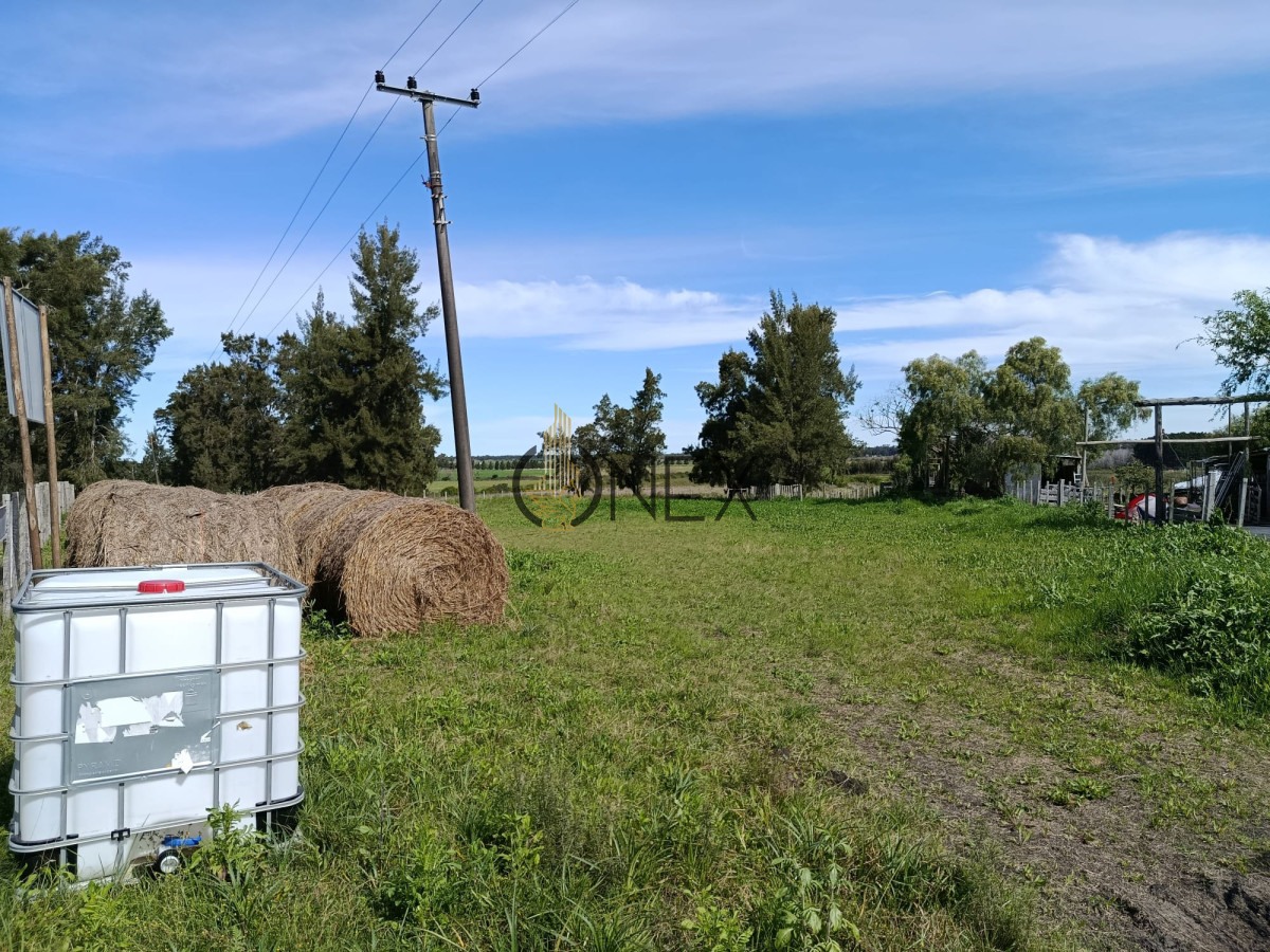 Campo Ref.3235 - 6 hectáreas sobre Ruta 11 - Ideal para producción e inversión