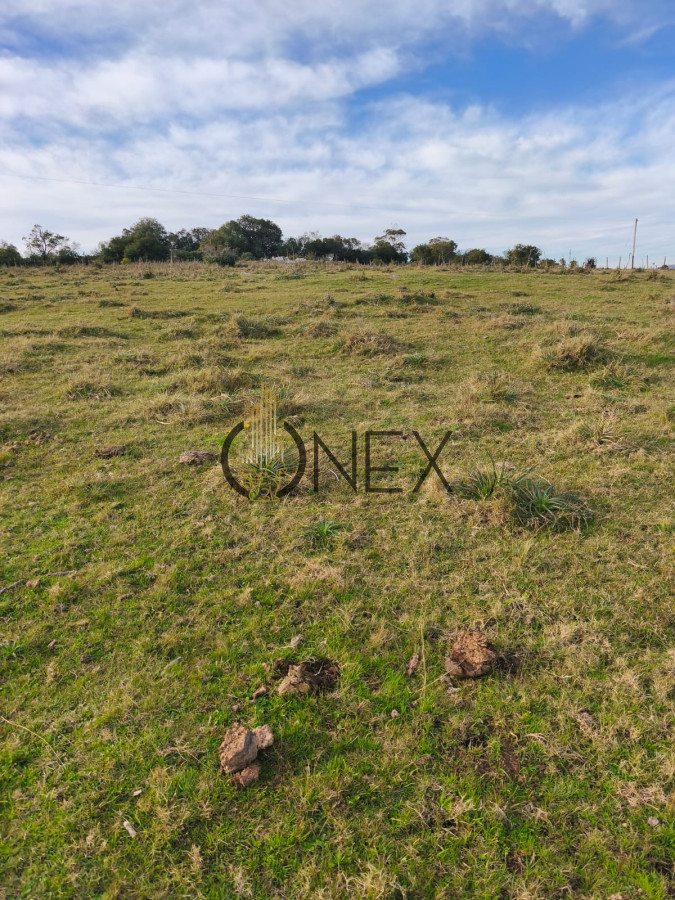 Campo Ref.3033 - Venta de campo de 57 Has Zona las Cañas 