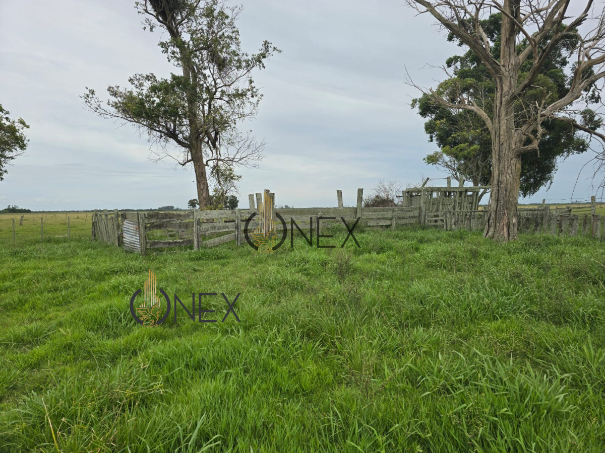 Campo Ref.1782 - Campo en Rural, 