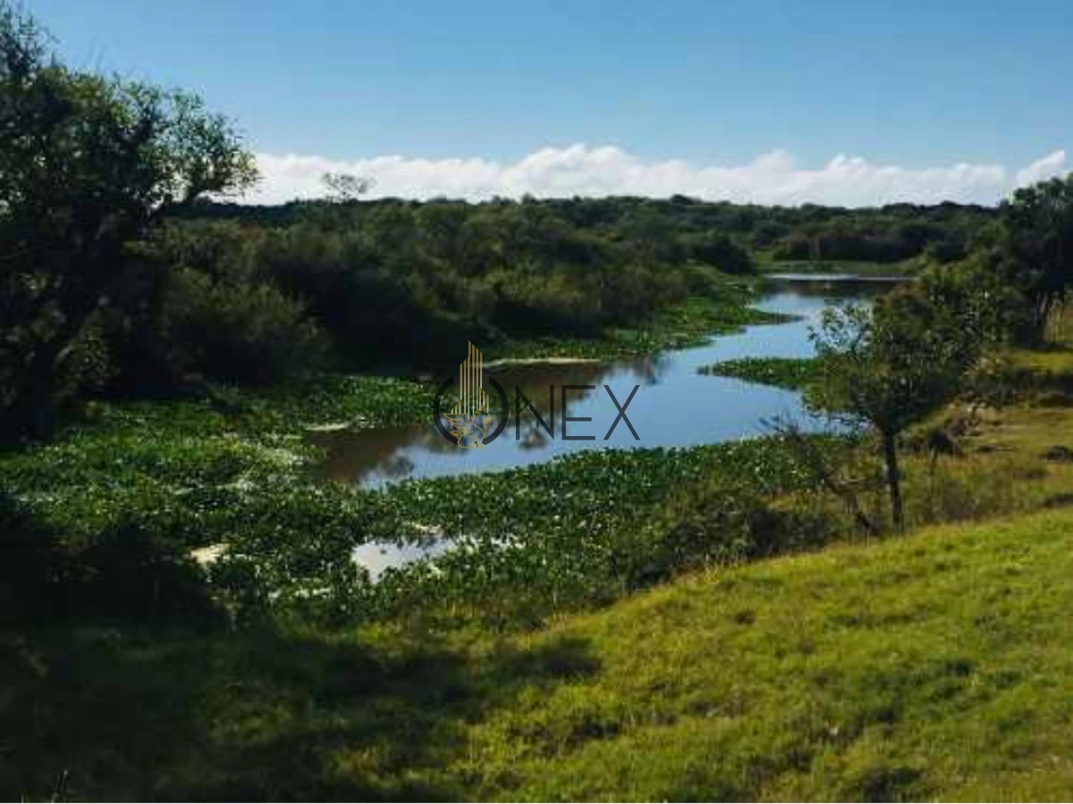 Campo Ref.2557 - Campo en Otra, 