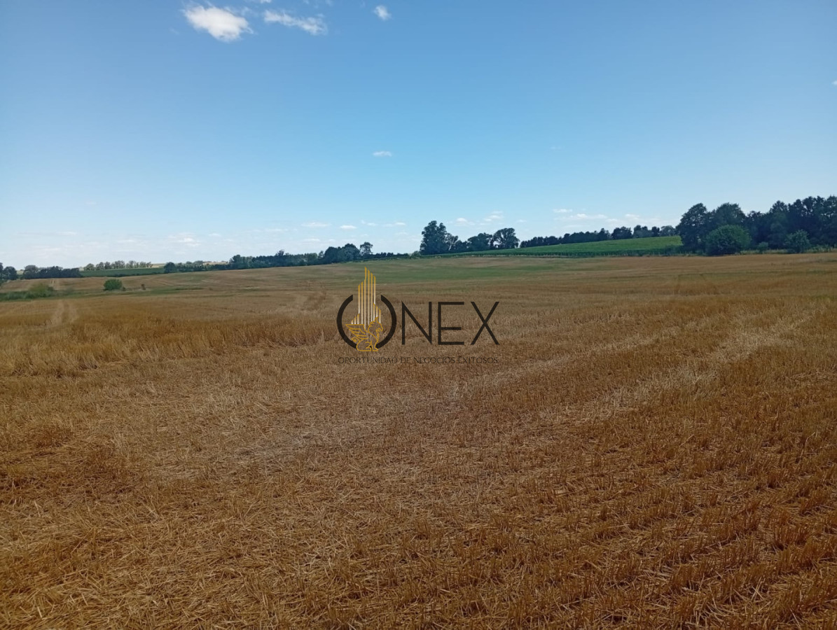 Campo Ref.3804 - 23 HECT. EN COLONIA AGRICOLA/GANADERO 