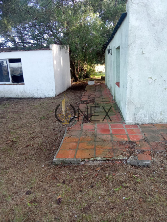 Campo Ref.2350 - venta de campo de 15Ha en Partido Norte con casa