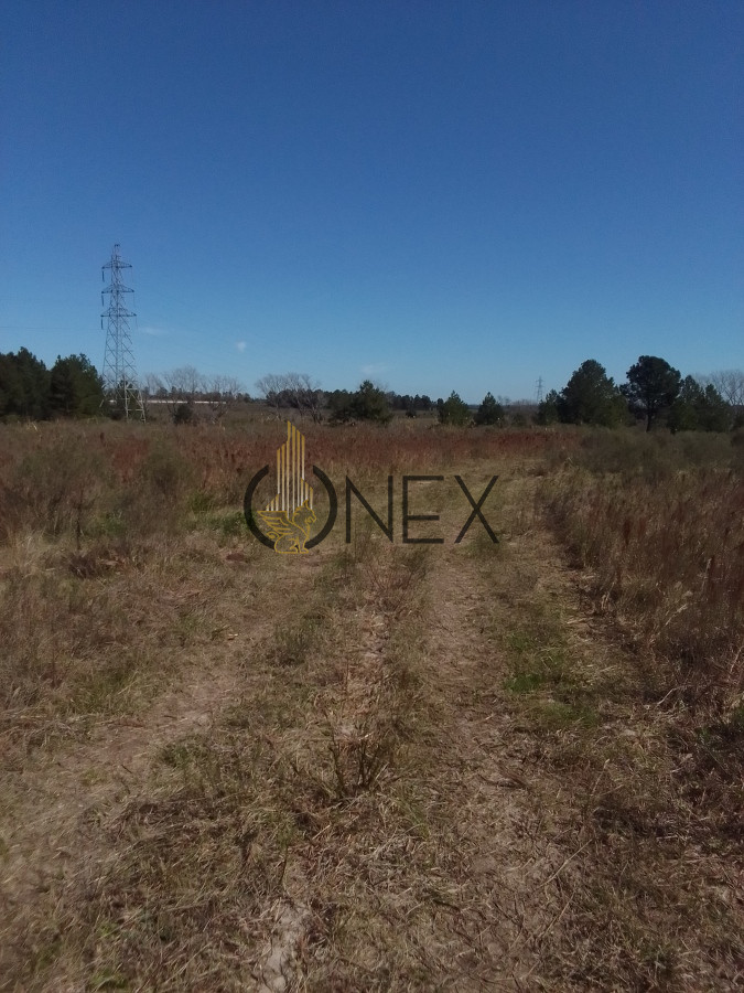 Campo Ref.1231 - Venta de Campo en Depto Canelones