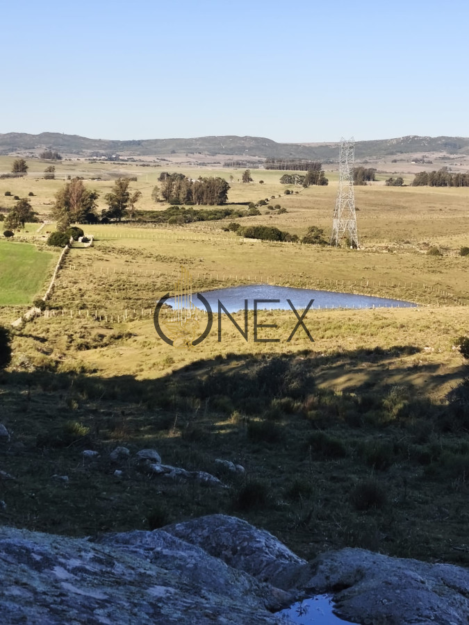 Campo Ref.2902 - Venta de campo de 103 Has en Las Cañas