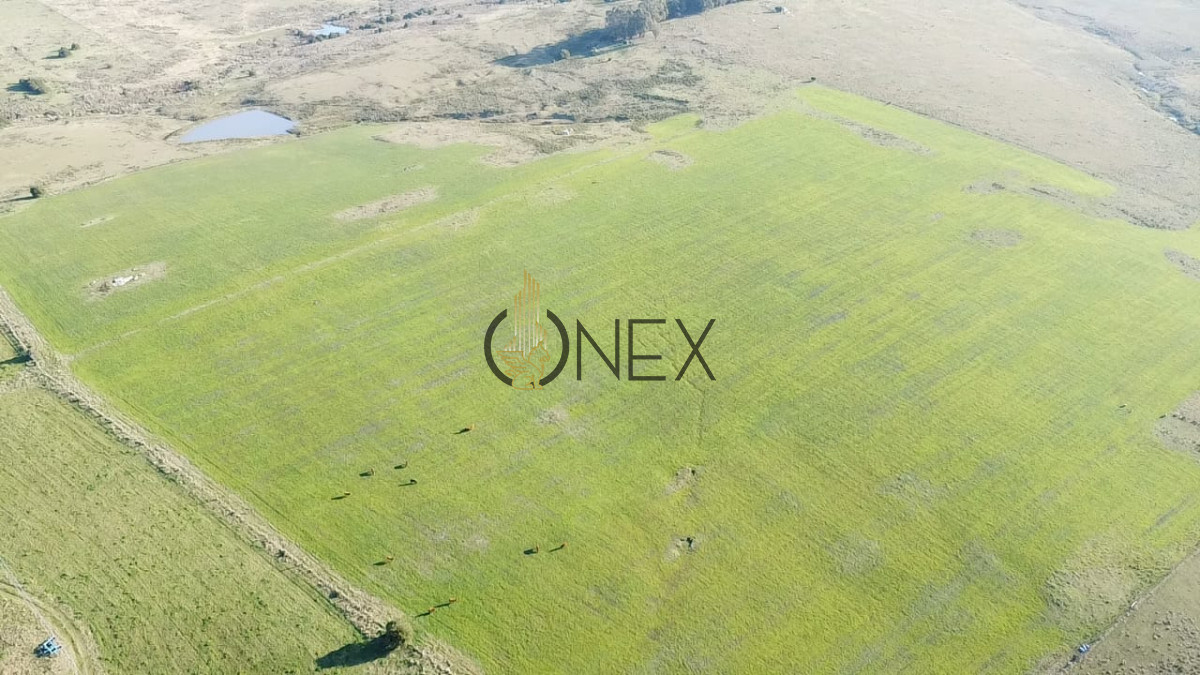 Campo Ref.2902 - Venta de campo de 103 Has en Las Cañas